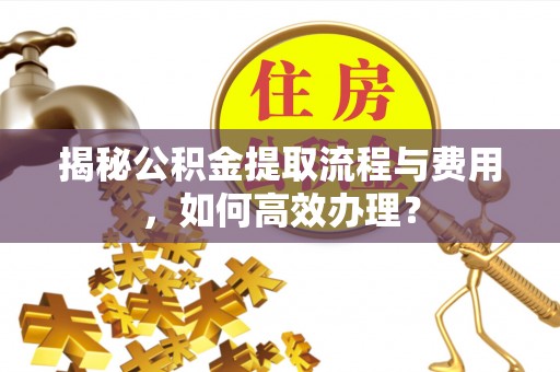 白沙揭秘公积金提取流程与费用，如何高效办理？