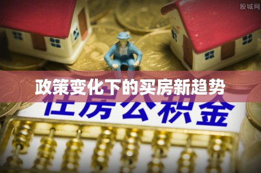 白沙政策变化下的买房新趋势