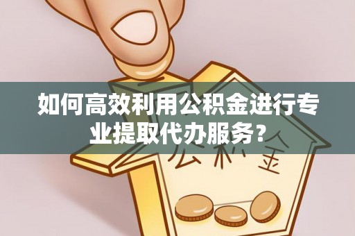 白沙如何高效利用公积金进行专业提取代办服务？