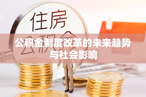白沙公积金制度改革的未来趋势与社会影响