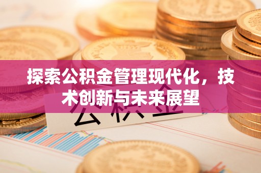 白沙探索公积金管理现代化，技术创新与未来展望