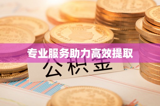 白沙专业服务助力高效提取