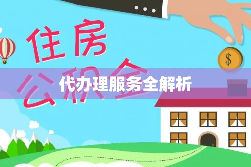 白沙代办理服务全解析