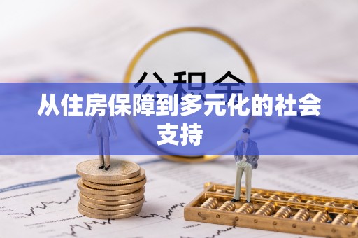 白沙从住房保障到多元化的社会支持