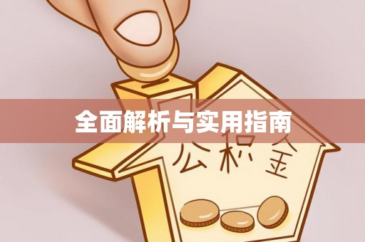 白沙全面解析与实用指南