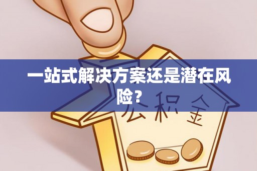 白沙一站式解决方案还是潜在风险？