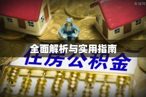 白沙全面解析与实用指南