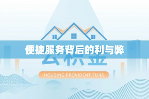 白沙便捷服务背后的利与弊