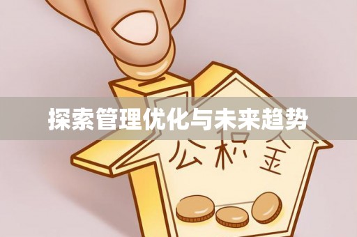 白沙探索管理优化与未来趋势