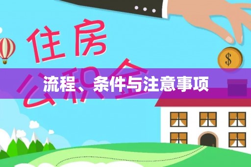 白沙流程、条件与注意事项