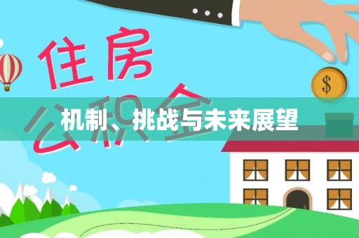 白沙机制、挑战与未来展望